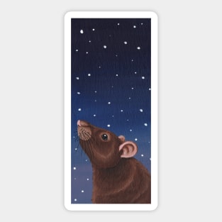 Agouti Brown Rat Stargazing Sticker